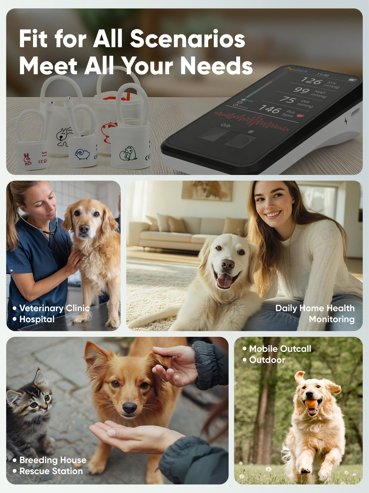 BMN35 Veterinary Blood Pressure Monitor for Dogs & Cats with 5 Cuffs